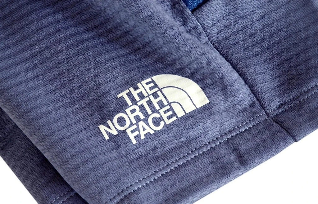 The North Face Men's Mountain Fleece Shorts Blue